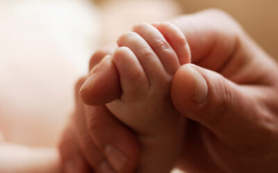 Cómo minimizar el riesgo a futuro con un contrato de seguro